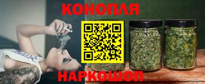 гидра Моздок