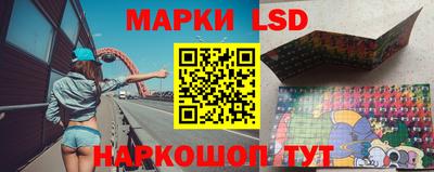 гидра Моздок