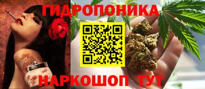 дмт Можга