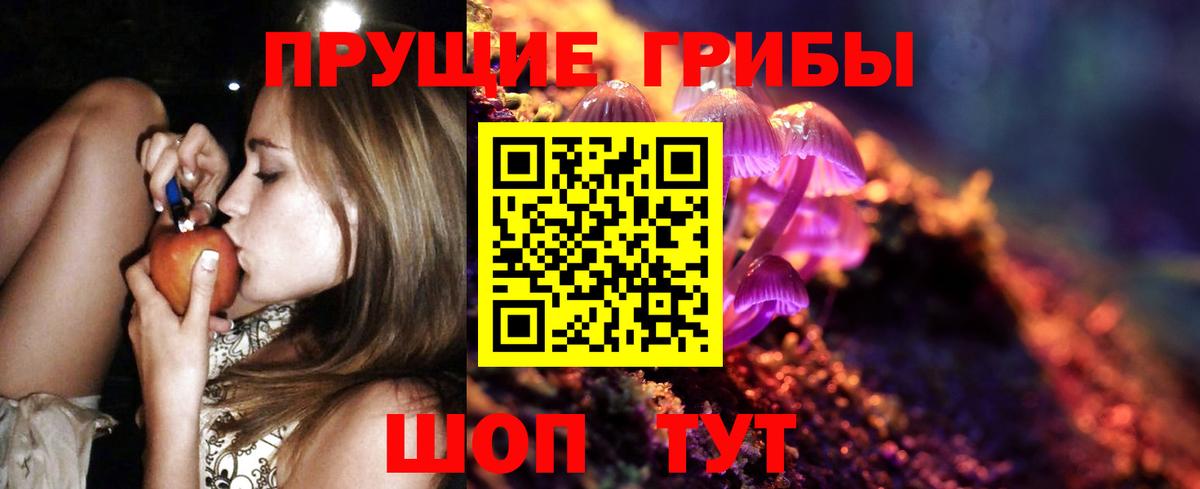 Псилоцибиновые грибы прущие грибы  Вход с VPN  Шатура 